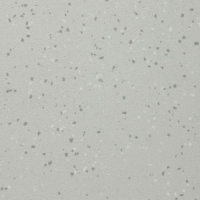 Коммерческий линолеум Altro XLI2205P  Street