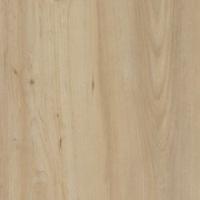 Дизайн плитка Amtico ss5w2538 Wood