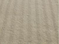 Jacaranda  Satpura Stripe Cream