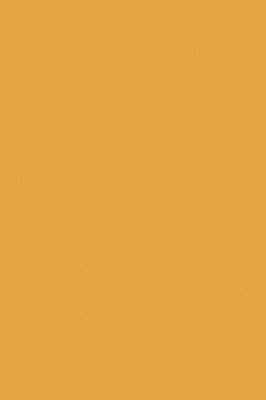 u_11_gold