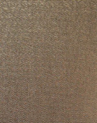 nexus_2534.17